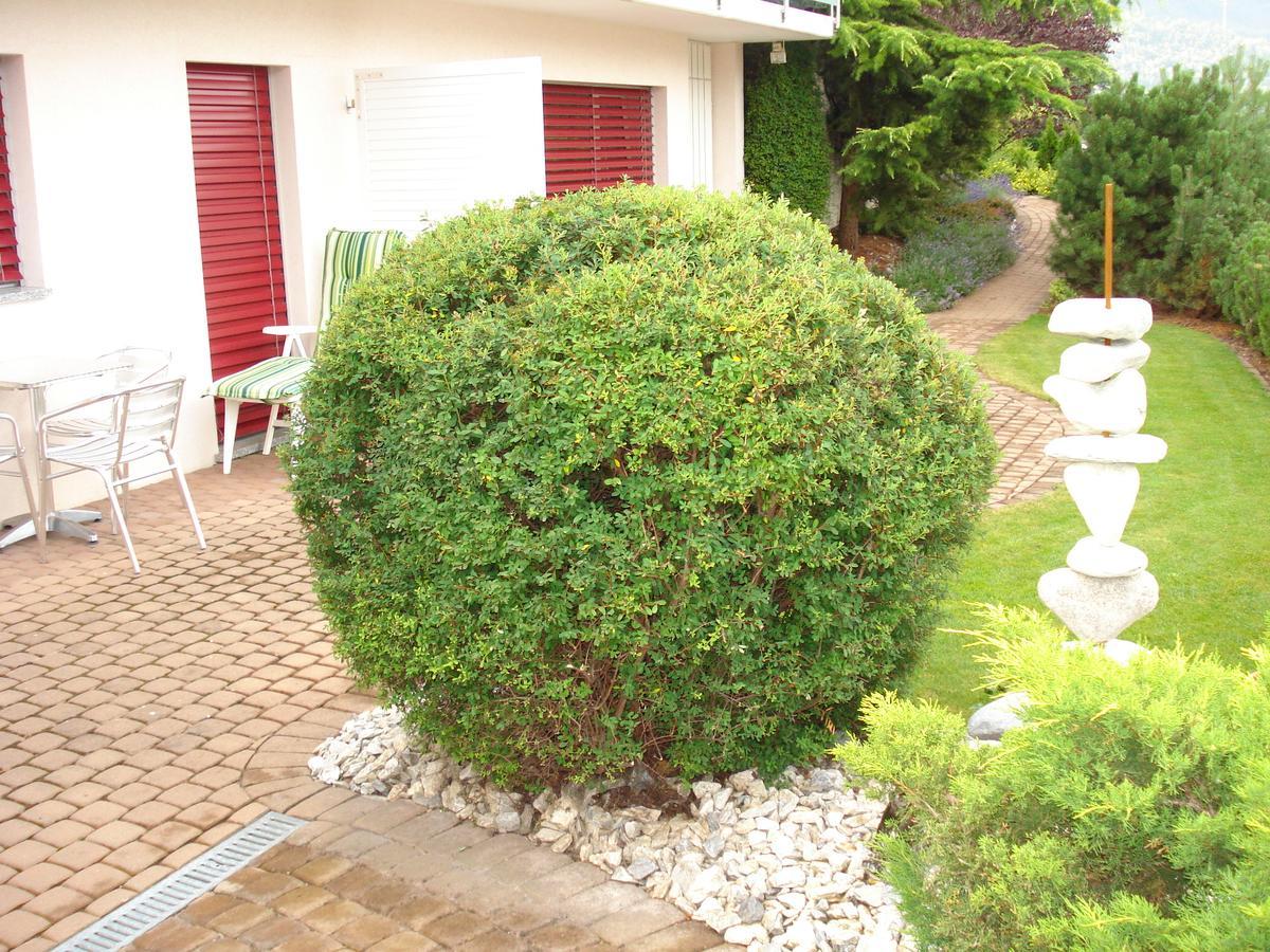 Ferienwohnung Lenggenhager Plantzette シエル エクステリア 写真